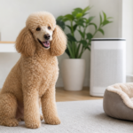 Low-Shedding Dog Breeds for People With Allergies: A Vet’s Honest Guide